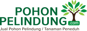 Pohon Pelindung
